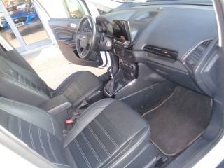 FORD EcoSport usata, con Vetri oscurati