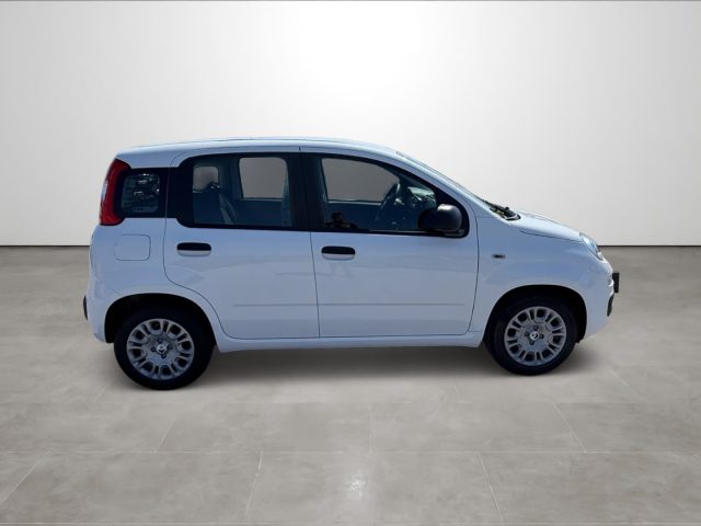 FIAT Pandina usata, con Controllo trazione