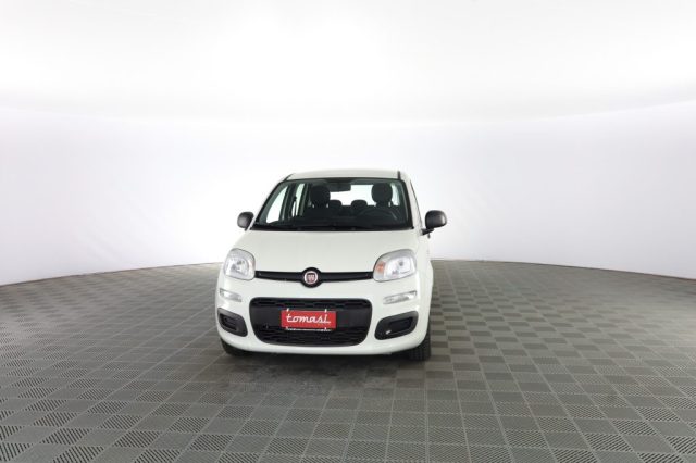 FIAT Panda usata 0