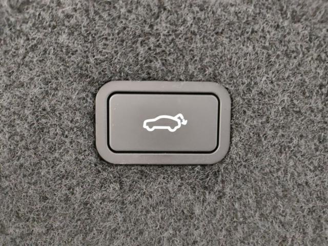 POLESTAR Polestar 4 usata, con Monitoraggio pressione pneumatici