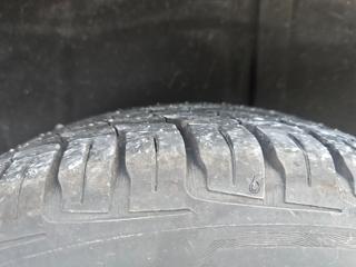 FIAT Panda usata, con Hill holder