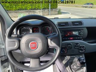 FIAT Panda usata, con Climatizzatore