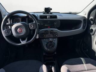 FIAT Panda usata, con Servosterzo
