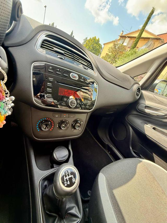 FIAT Punto usata 14