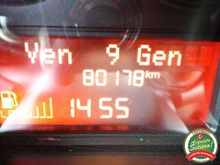 FIAT Punto usata 15