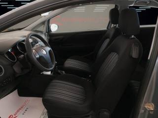 FIAT Punto usata 12