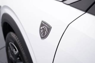 PEUGEOT 3008 usata, con Isofix