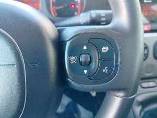 FIAT Panda usata, con Airbag testa