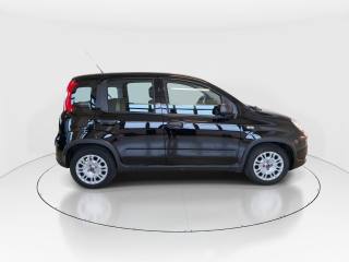 FIAT Panda usata, con Controllo trazione