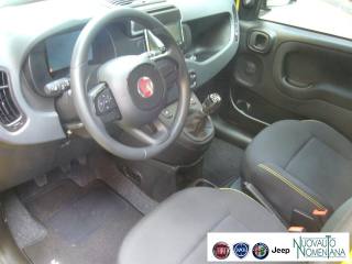 FIAT Panda usata, con Sensori di parcheggio posteriori