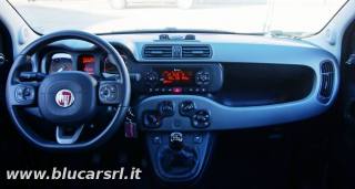 FIAT Panda usata, con Climatizzatore