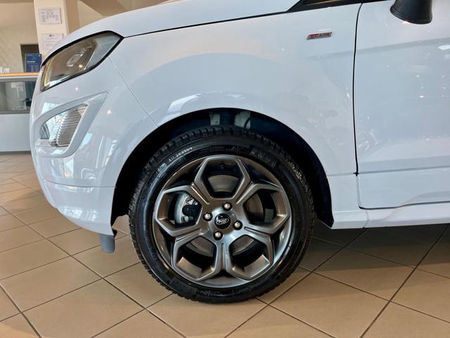 FORD EcoSport usata, con Fendinebbia
