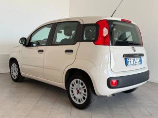 FIAT Panda usata 4