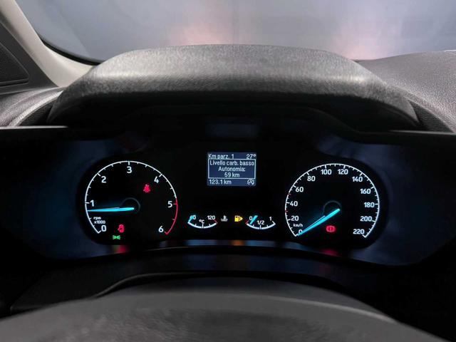 FORD Transit Connect usata, con Servosterzo