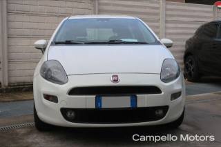 FIAT Punto usata 1