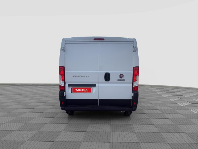 FIAT Ducato usata 4