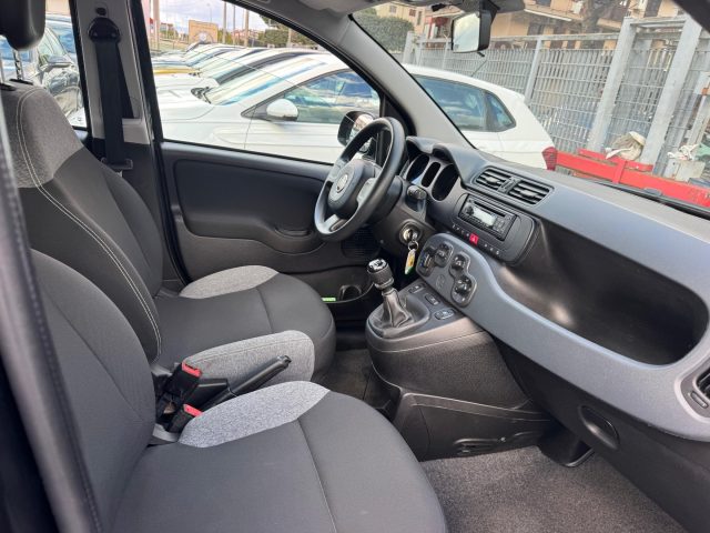 FIAT Panda usata, con Cronologia tagliandi