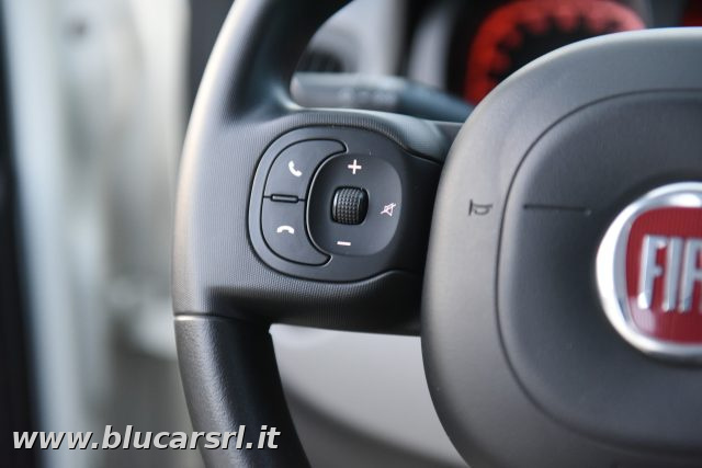 FIAT Panda usata 20