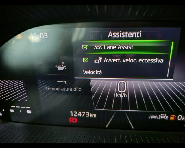 SKODA Fabia usata, con Controllo trazione