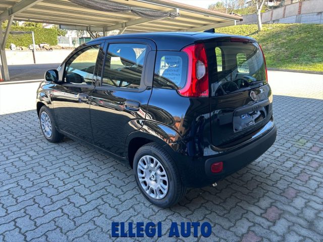 FIAT Panda usata, con Antifurto