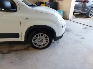 FIAT Panda usata, con Controllo trazione