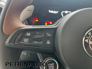 ALFA ROMEO Tonale usata, con Climatizzatore