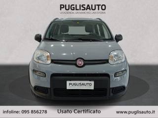 FIAT Panda usata, con Airbag
