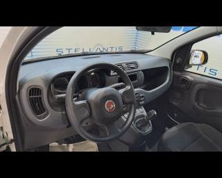 FIAT New Panda usata, con Controllo automatico clima