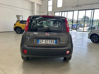 FIAT Panda usata 15