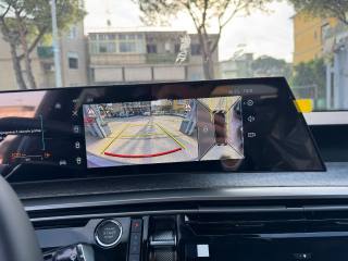 PEUGEOT 3008 usata, con Cronologia tagliandi