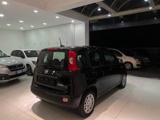 FIAT Panda usata, con Boardcomputer