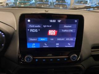 FORD EcoSport usata, con Fendinebbia