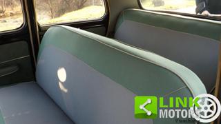 FIAT 1100 usata 53
