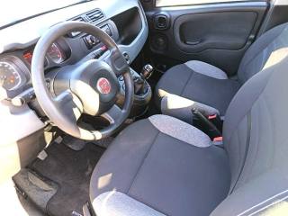 FIAT Panda usata 6