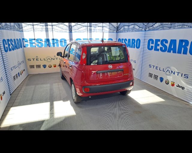 FIAT New Panda usata, con Alzacristalli elettrici