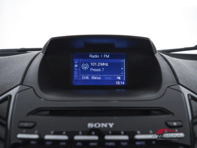 FORD EcoSport usata 13