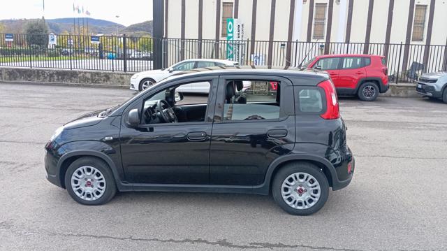 FIAT Panda usata 18
