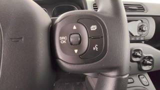 FIAT Panda usata 53