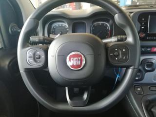 FIAT Panda usata, con Servosterzo