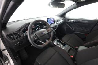 FORD Focus usata 1