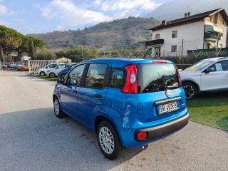 FIAT Panda usata, con Airbag Passeggero