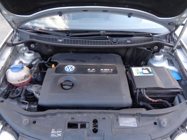 VOLKSWAGEN Polo usata, con Sedile posteriore sdoppiato