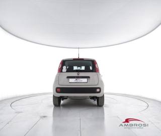 FIAT Panda usata 5