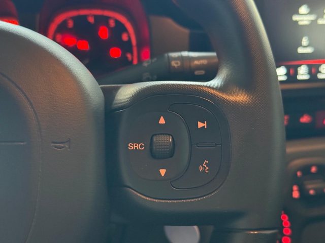 FIAT Panda Cross usata, con Servosterzo