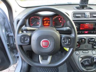 FIAT Panda usata, con Servosterzo