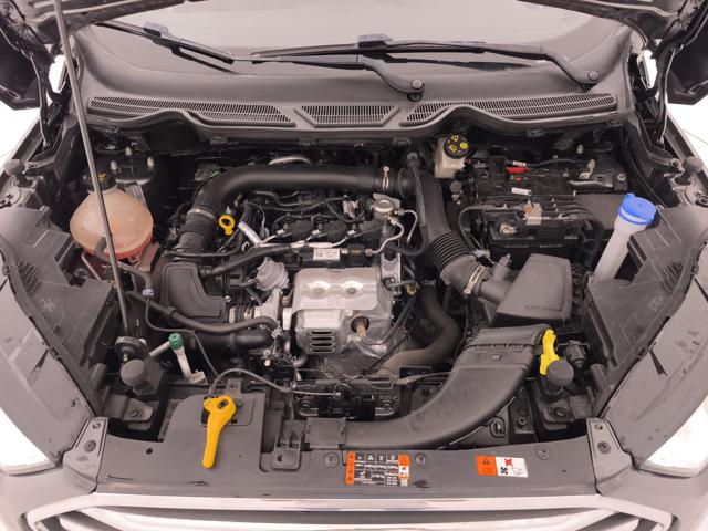 FORD EcoSport usata, con Isofix