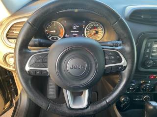 JEEP Renegade usata, con Cruise Control