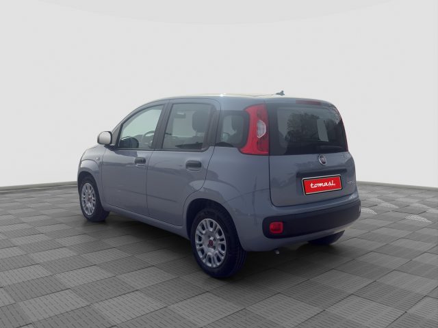 FIAT Panda usata 2