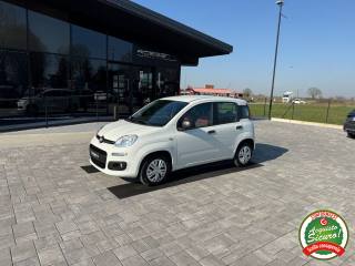 FIAT Panda usata, con Airbag laterali