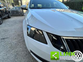 SKODA Octavia usata 17